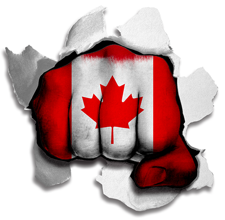 Fist Canada Flag Logo vinyl decal